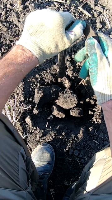 Подкова к УДАЧЕ или КАК? #shorts #metaldetecting #кладоискатель смотреть онлайн