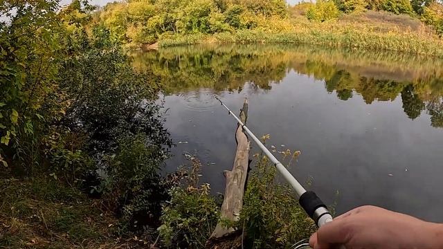 Попла поппер и ставок, потестировал называется спинни смотреть онлайн