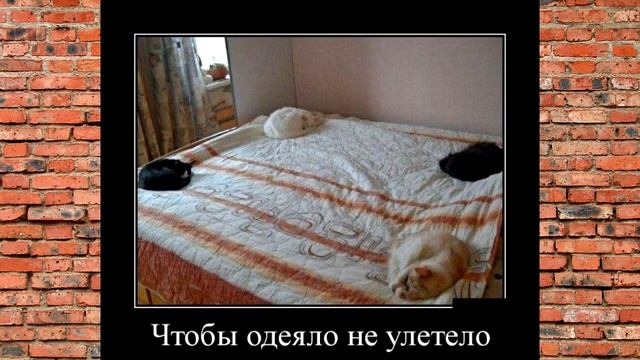 Демотиваторы #18 смотреть онлайн