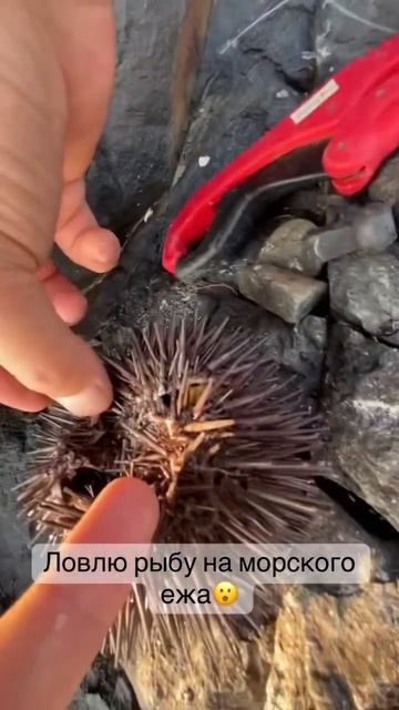 Рыбалка в Индии смотреть онлайн