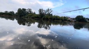 Рыбалка 🎣 Щука дуреет р Миасс