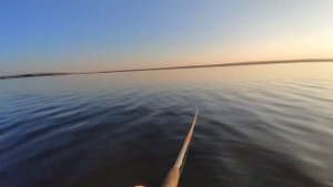 Жор щуки! Ириклинское водохранилище.
