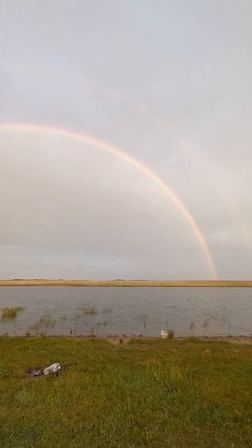 Рыбалка на карпа! 5:10   утра шикарная двойная радуга!short