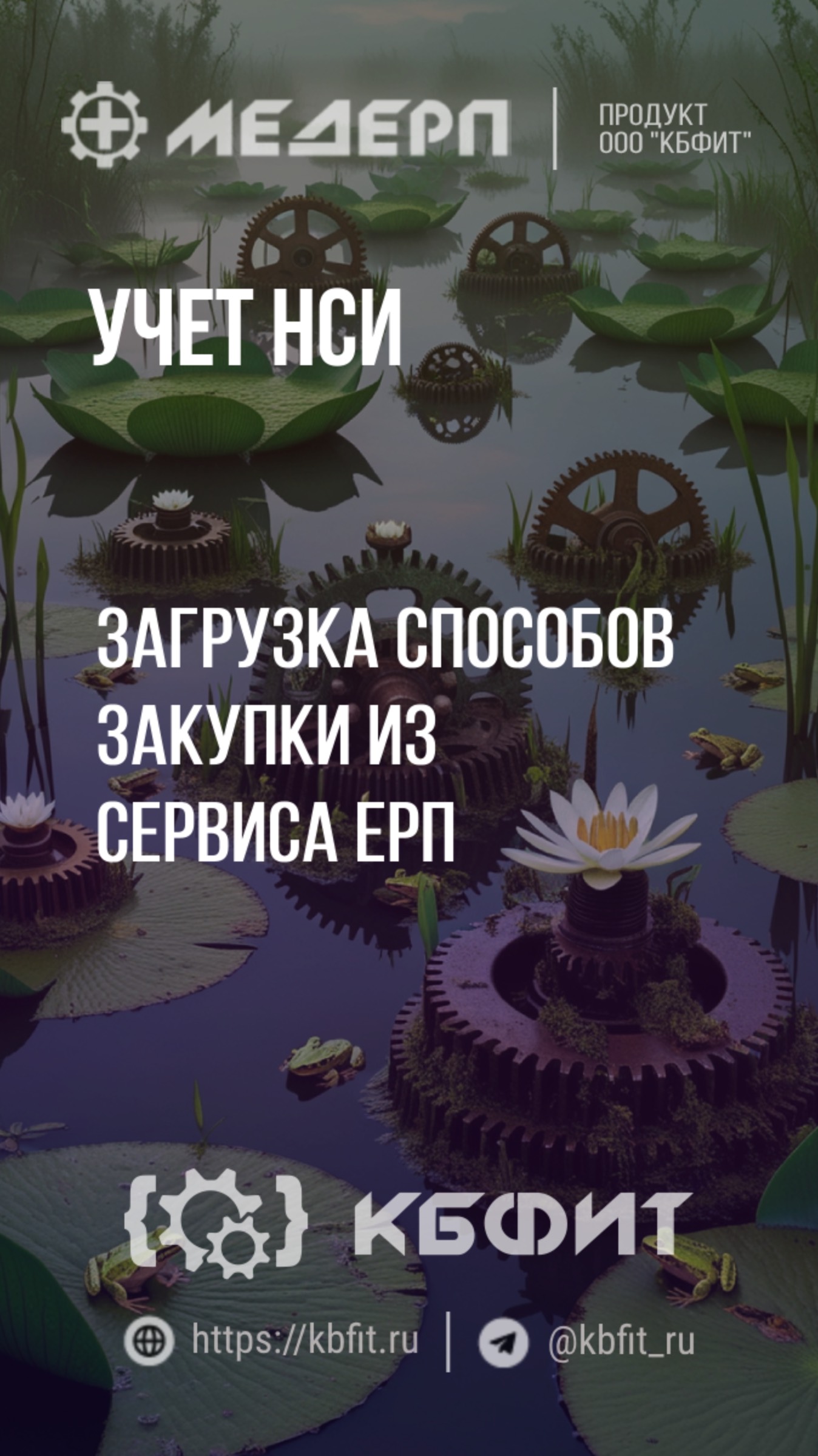 КБФИТ: МЕДЕРП. Учет НСИ: Загрузка способов закупки из сервиса ЕРП