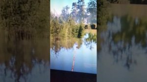 КАРП и АМУР на МЕДВЕЖКЕ | Русская Рыбалка 4 | Рр4