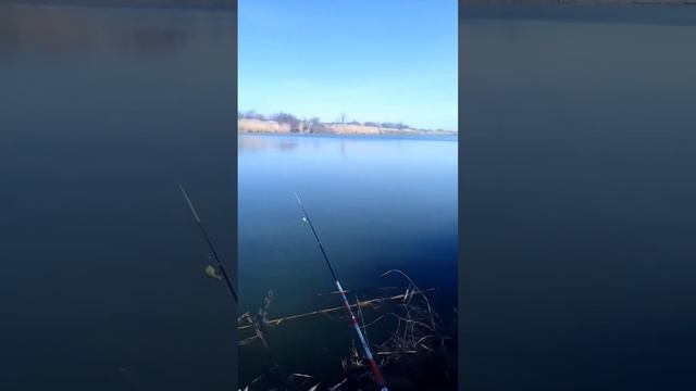 24 марта 2025 г. смотреть онлайн