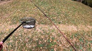 Рыбалка на Столбовой. Открытие форелевого сезона 2024. Р