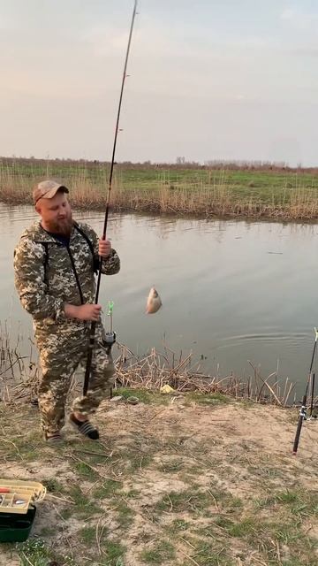 СУПЕР КЛЕВ КАРАСЕЙ В АСТРАХАНИ НА РЫБАЛКЕ 2024 #рыбалка # смотреть онлайн