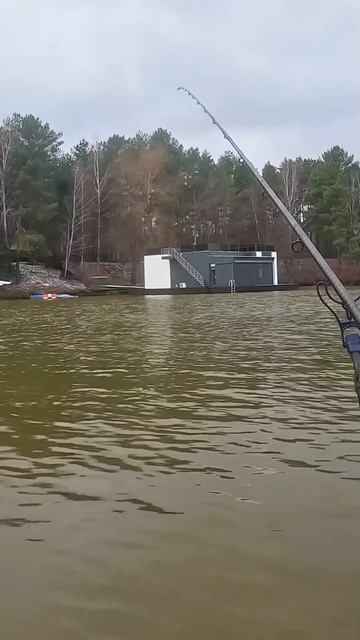 Зимовий фідер 🤯 #fishing #риболовля #рибак #фідер #fish #feeder # смотреть онлайн