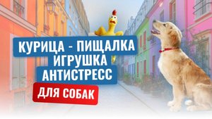 Курица - пищалка - игрушка антистресс для собак