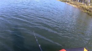 Осенний спиннинг.Пробую ловить на джерки.