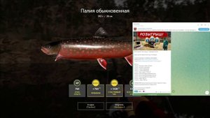 Точка на ГОЛЬЦА АРКТИЧЕСКОГО! Крутая точка на озере Ку