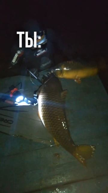 Видео носит исключительно юмористический характер #п? смотреть онлайн