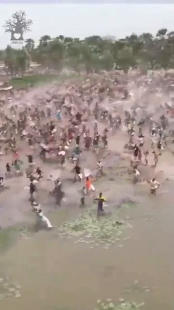 #fishing когда сняли рыболовный запрет все побежали на ры? смотреть онлайн