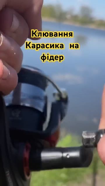 Клювання карася на донку рибалка на карася #рыбалкана? смотреть онлайн