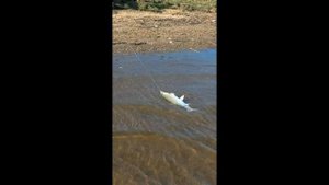 Рыбалка в Астраханской области на реке Кигач. Апрель 20