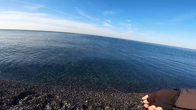 Сарган на пилькеры. Рыбалка в Сочи в ноябре. Evergreen Poseidon