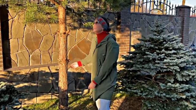 🆗 Поздравление от Ольги Кабо с Днём космонавтики! смотреть онлайн