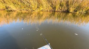 Жерех на крэнки осенью 🍂 Спиннинг Nautilus Imperial IMS-762M 228см