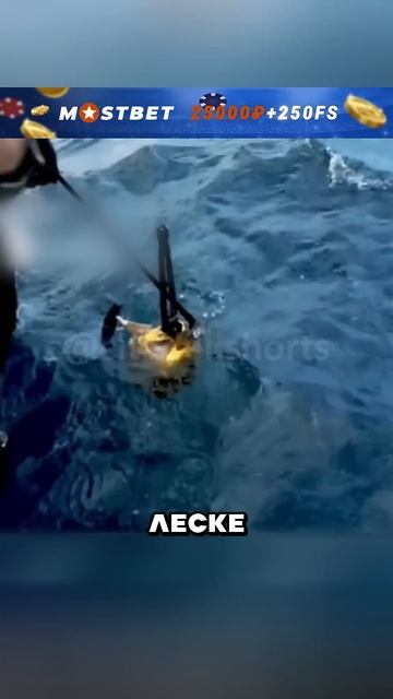 Даже самые великие армрестлеры не вывеезли рыбалку 😱 смотреть онлайн