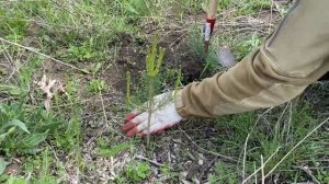 Агроуход Ставропольский край 28 апреля 2023 года