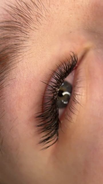 Наращивание ресниц 🖤▪️ Лиса в мокром эффекте ▪️Объ смотреть онлайн