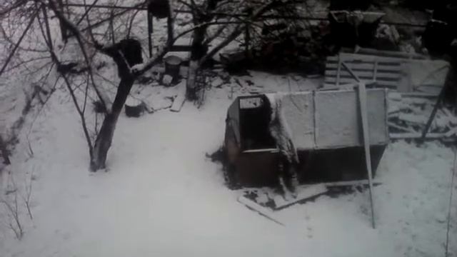 Снежок называется смотреть онлайн