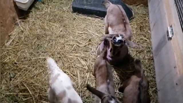 хорошие новости всегда в радость смотреть онлайн