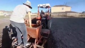 посадка картофеля сразу после фреза