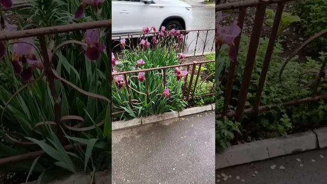 Прямая трансляция fishing и мы !