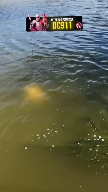 Найкраще проведений час, це коли ти на рибалці 🎣🔥 #fis смотреть онлайн