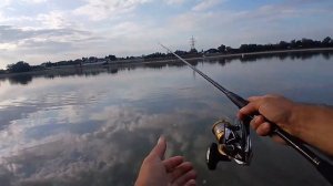 Рыбалка на Кубани. Влетели усачи!  Рыбачу на расслабон?