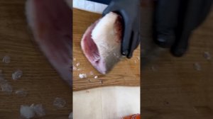 А что выберете Вы ⁉️ #азбукасевера #рыба #рыбалка