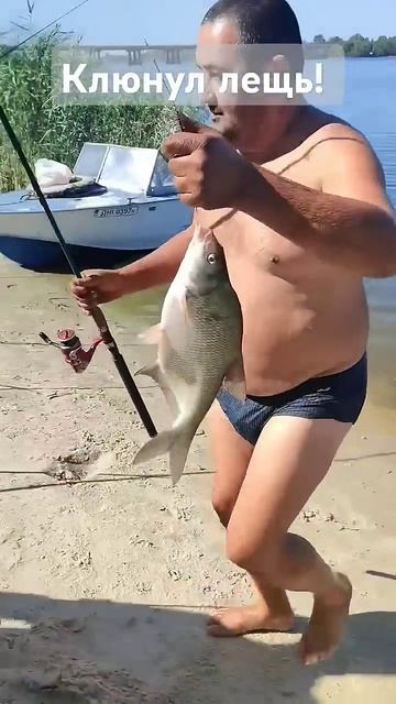 Клюнул лещ на берегу острова Дубовый, что на Днепре #fish смотреть онлайн
