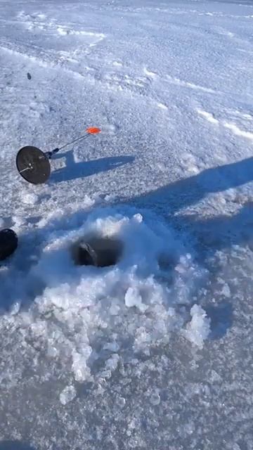 Катушки дымят лески трещат охотарыбалкаотдыхshorts