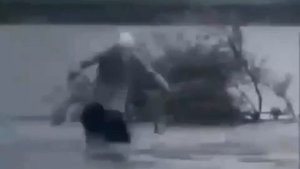 прикол бабка с пакетами