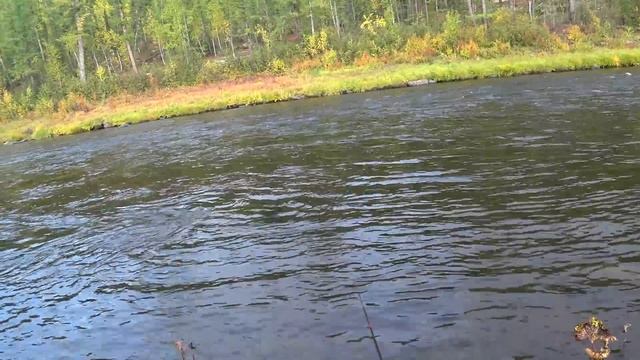 БАХТА РЕКА "СЧАСТЛИВЫЕ ЛЮДИ" ТАЙМЕНЬ. ОТШЕЛЬНИК В ТАЙГ? смотреть онлайн