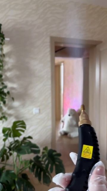 Артикул WB: 267356000; Артикул OZON: 1665993330 #пароочиститель #отм смотреть онлайн