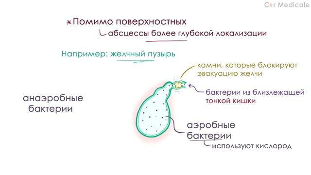 Абсцессы и полипы в Ростове-на-Дону в центре в Бест Клиник best-klinika.ru