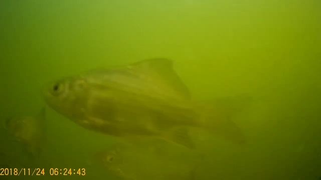 Запорожье озеро Кушугум глубокое 4 пески смотреть онлайн