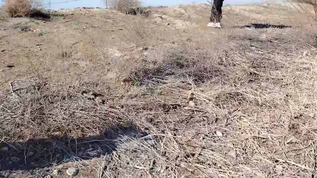 Выходные с семьёй. Чунджа, горячие источники зона отды