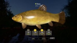 Фарм на озере медное без пва. Русская рыбалка 4. Аккаун?