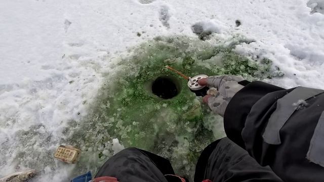 Тёплое озеро, Наха, Эстония. смотреть онлайн