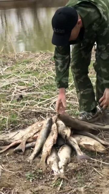 В поисках ерша #рыбалка #fishing #весна #рыба #астрахань #же смотреть онлайн