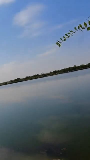 РЫБА МОЕЙ МЕЧТЫ #рекомендации #как #лучшая #рыбалка #са? смотреть онлайн