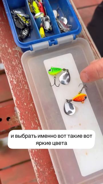 Яркие цвета в мутной воде #рыбалка #спиннинг #тейлспин? смотреть онлайн