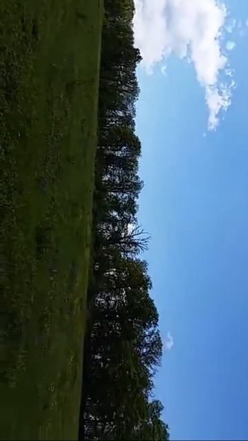 Кавказ гора виды смотреть онлайн