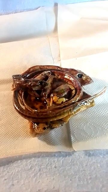 Причуды Азовского моря.Решайте сами,быть или не быть смотреть онлайн