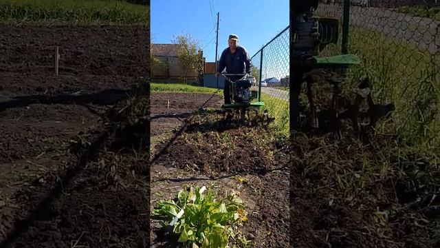 #огородныедела #огородничество #дача #огород #мотоблок
