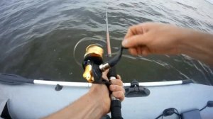 Трофейная щука на озере Ильмень